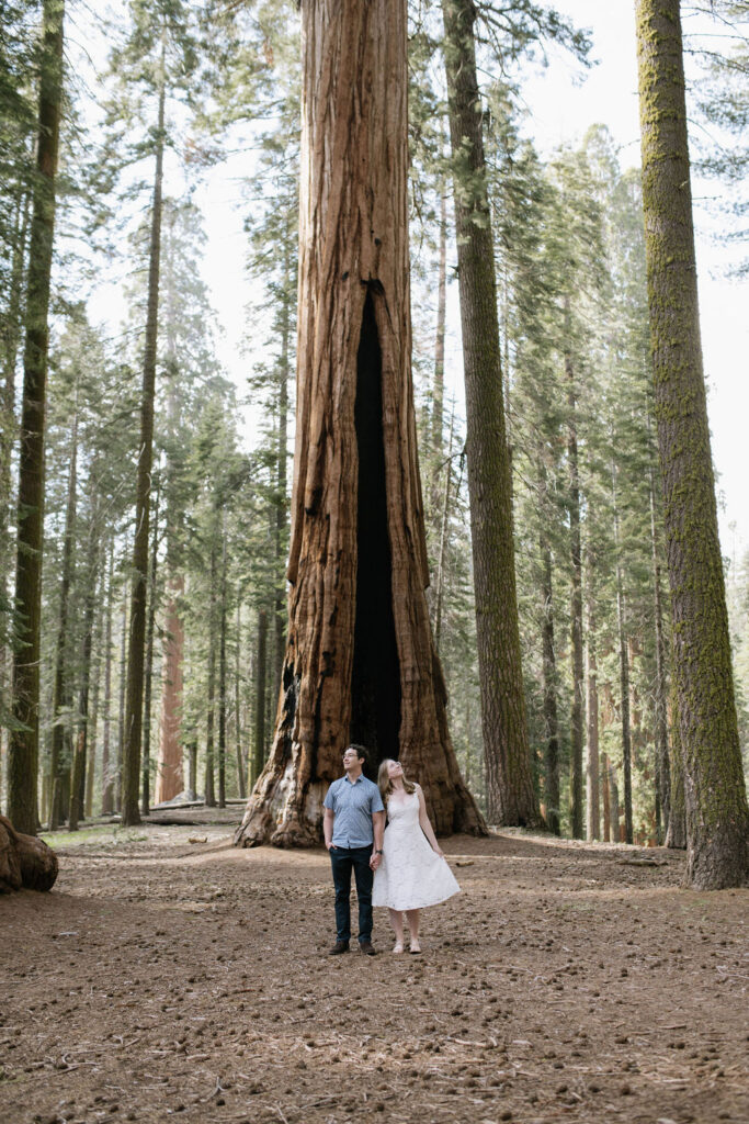 couple smiling at each other during their photoshoot 