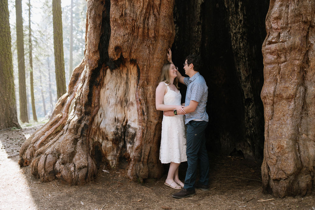 Romantic Engagement Session in Sequoia National Park, CA