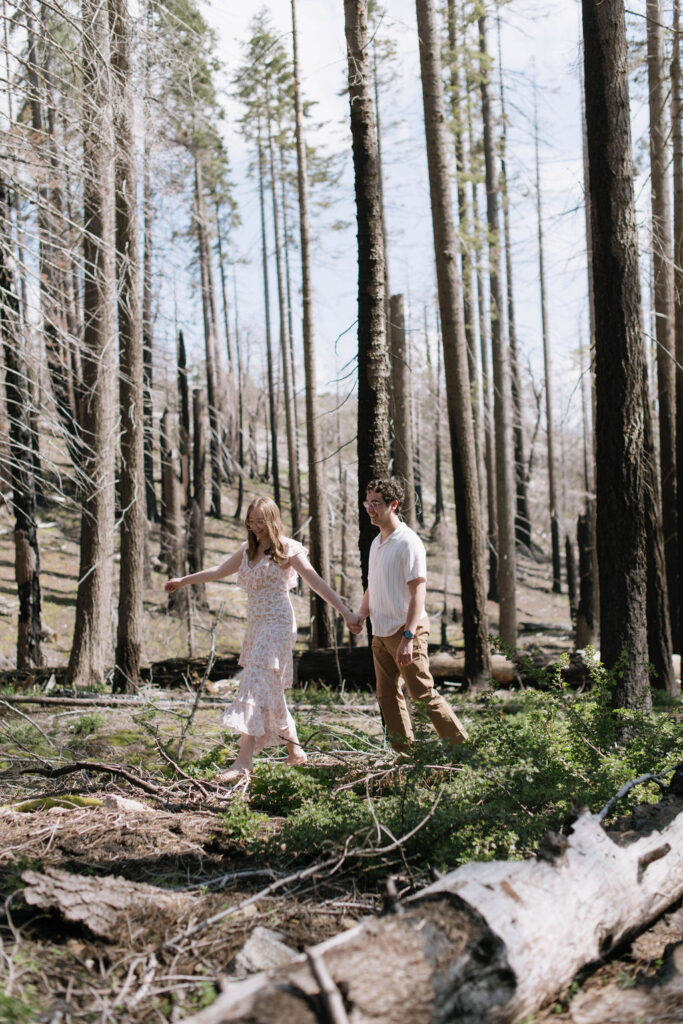 Romantic Engagement Session in Sequoia National Park, CA