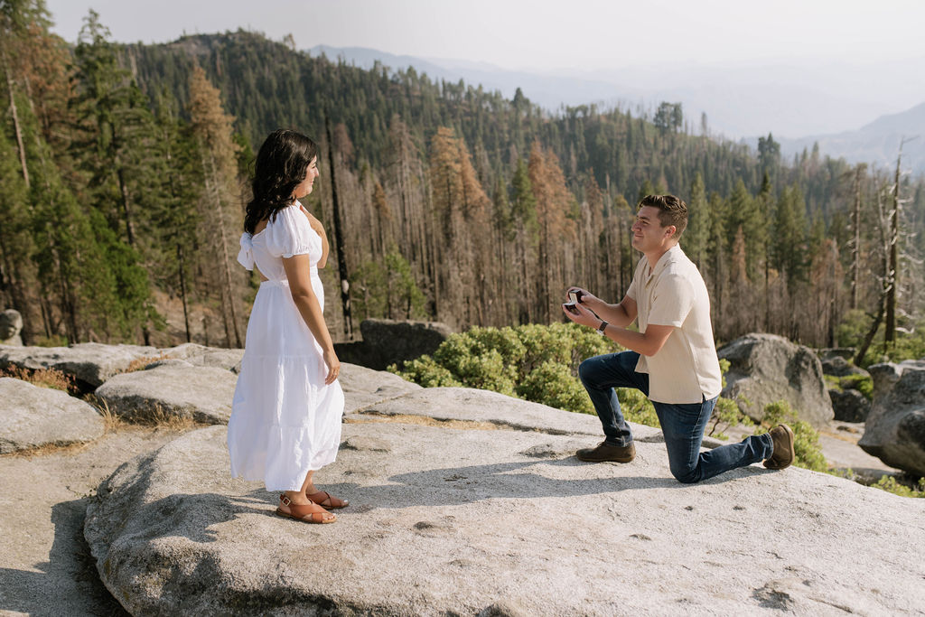 romantic proposal