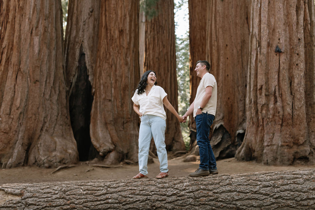 Genuine and Romantic Proposal at Sequoia National Park